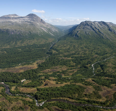 Skogområde og høyfjell