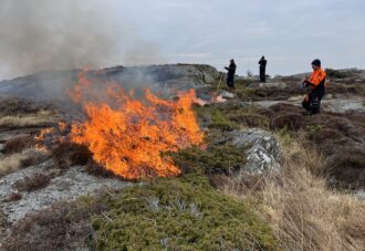 Lyngbrenning på Tisler